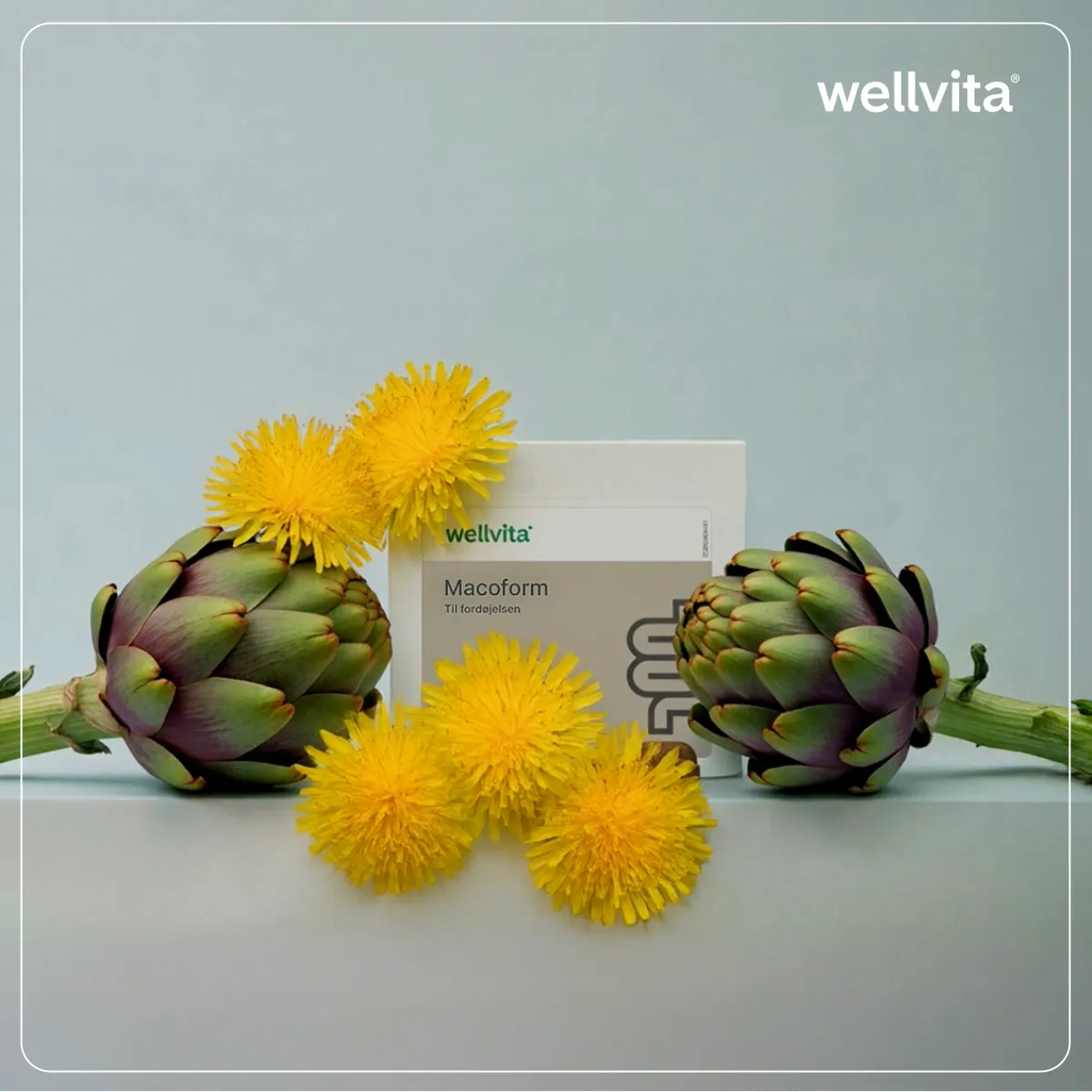 Wellvita